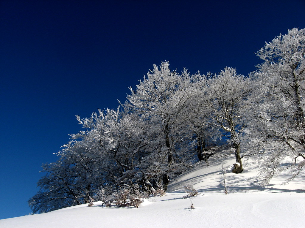 Neige et soleil à Guzet (Ariège/Pyrénées)