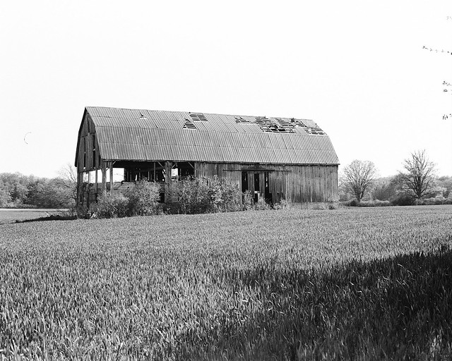 Old Barn near Port Rowan