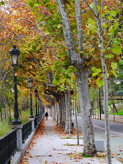 Parque en Zaragoza, orilla del Canal Imperial de Aragón