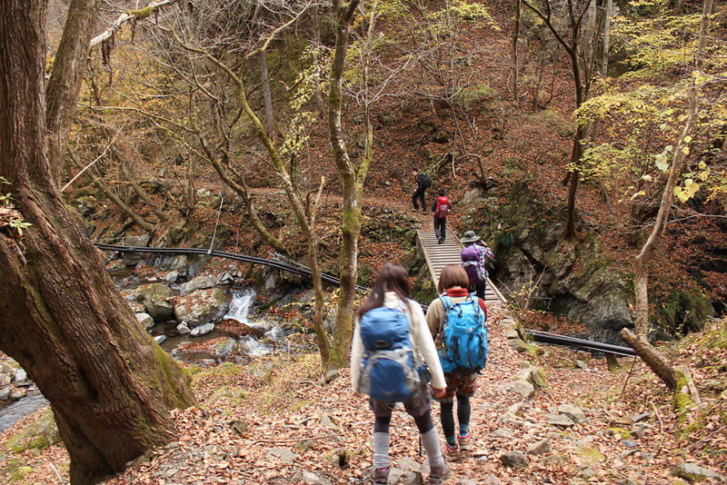 川乗山登山