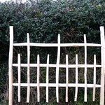 Rustic Chestnut fence panel