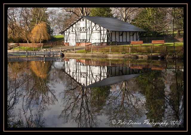 Reflections in the Park
