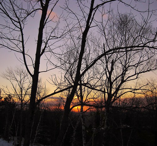 park new trees winter sunset snow tree clouds state dusk low january nh hampshire views weeks 2012 stratocumulus
