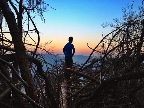 The view by MihaOblak, Standing on a fallen tree, 7m in the air, after the catastrophe.sunset tree march branches slovenia