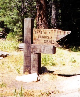 Giant Sequoia National Monument, CA 9-1998