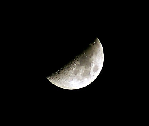 half moon kiron zoom