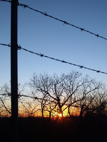 trees sunset sky sun wire manhattan ks barbedwire kansas barbed scenicoverlook