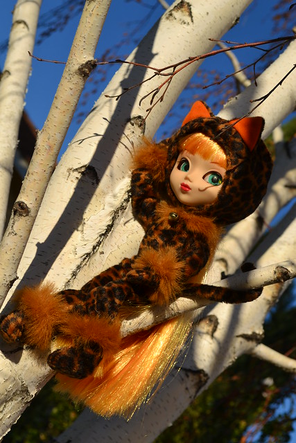Mitzi Kitty in my tree