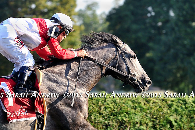 Ironicus and Javier Castellano set a new course record in the GII Bernard Barhch H. at Saratoga