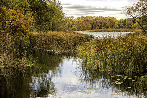 autumn trees fall nature water wisconsin river landscape outdoor madison marsh