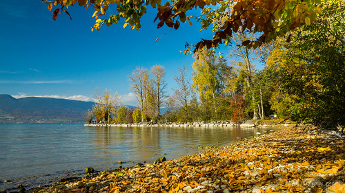 automne landscape schweiz switzerland la suisse sony lac fribourg alpha paysage 77 neuchâtel corbière 1650 estavayerlelac lacdeneuchâtel