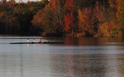 lake fall skulls crew rowing