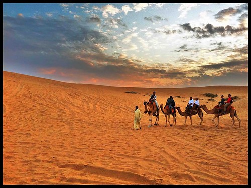 travel nature landscape sand desert uae tourist camel wandering sharjah autofocus iphone4