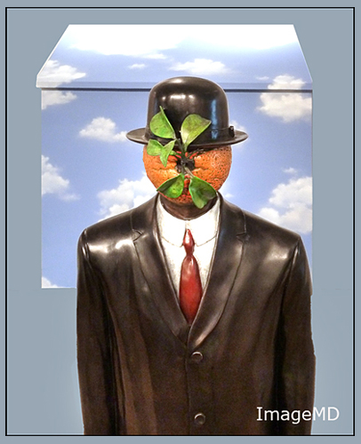 Scope Magritte