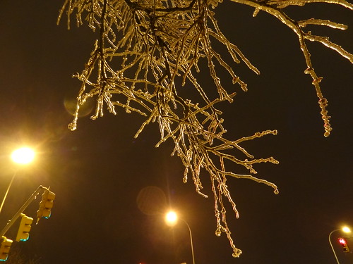 Icy Tree | by verifex