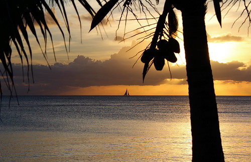 sunset sea sky tree water silhouette island dominicanrepublic caribbean coconutpalm caribbeansea lahispaniola