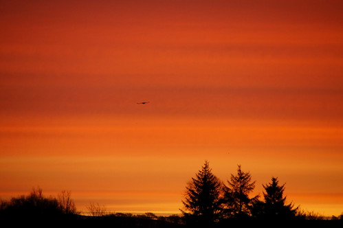 morning sky sunrise scotland irvinevalley eastayrshire sonyafdt18250mmf3563 sonyslta55v ronniebarron rcb4j