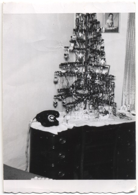 A Phony Christmas Tree?