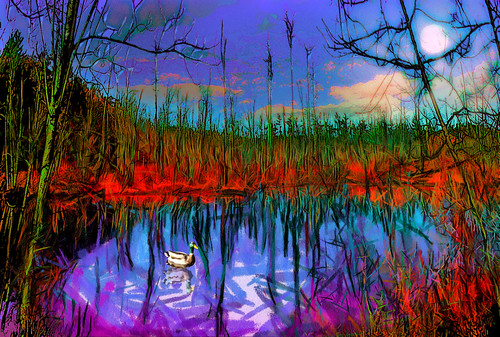 serene landscape november warmth manchester ma usa boardwalk pond photoshop flickr bing google yahoo facebook stumbleupon mask filter paint layer manipulation daum interesting creative color surreal avant guarde image pinterest tinder tumbler unique unusual fascinating art life outside