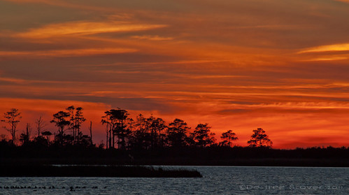 Fire in the Sky by Desiree_Elaine, sunset virginia backbaynationalwildliferefuge