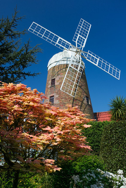 Spring windmill