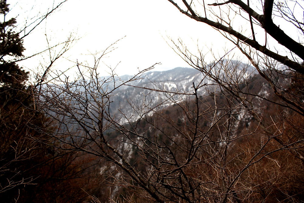 丹沢山登山