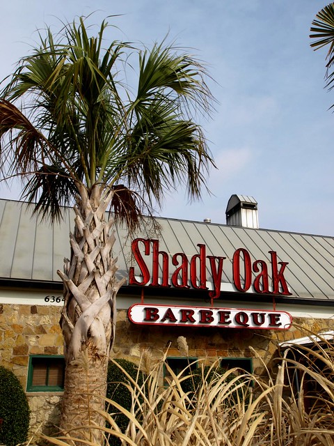 20120122_110552_0013_v01.. Shady Oak or Shady Palm?