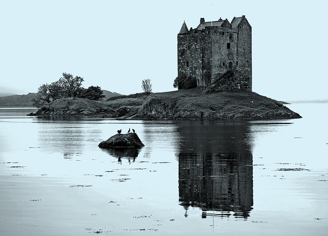 Castle Stalker and three birds