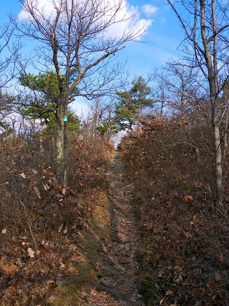 Montague, New Jersey wxkeith Flickr