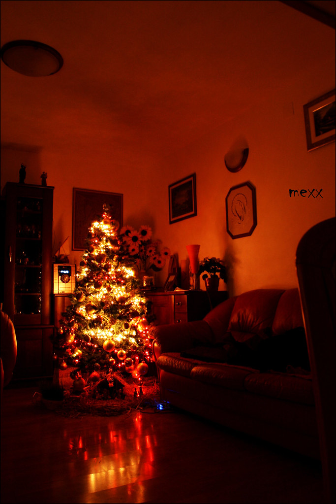 christmass tree | ante matas | Flickr