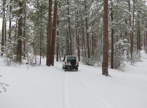 arizona usa snow forest geotagged butte unitedstates journal rover run national land thumb snowing discovery prescott overland deeringparkestates geo:lat=3454214705 geo:lon=11256827242