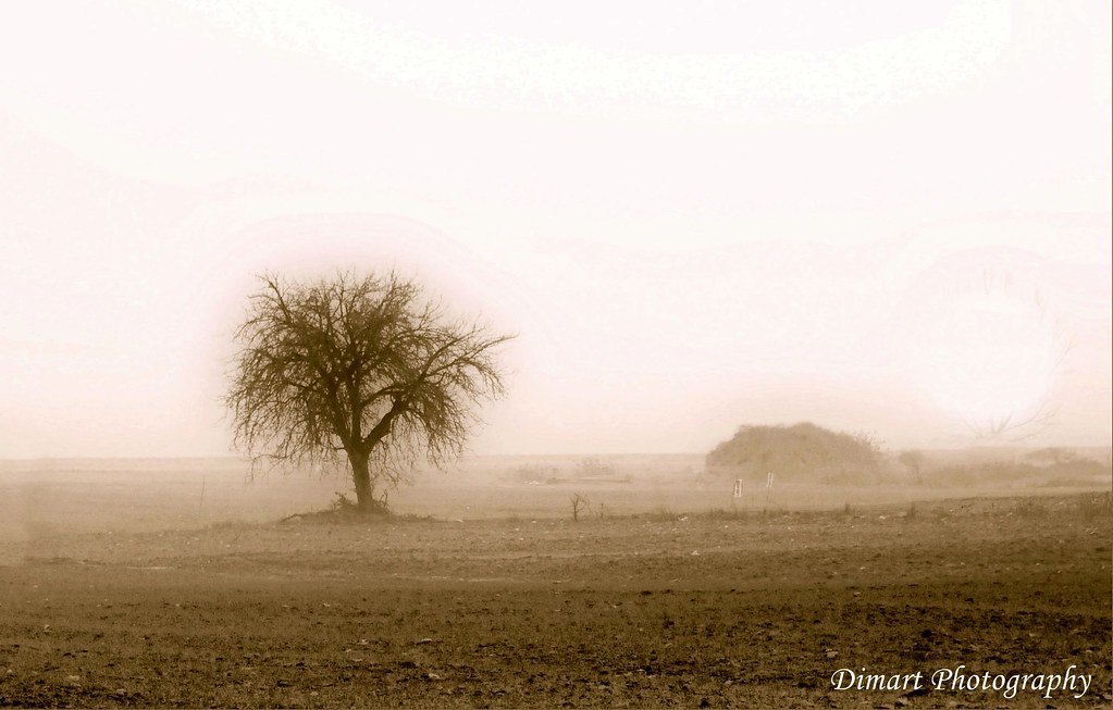 Landscape in the mist...