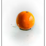 Wet Tangerine - DSC03317
