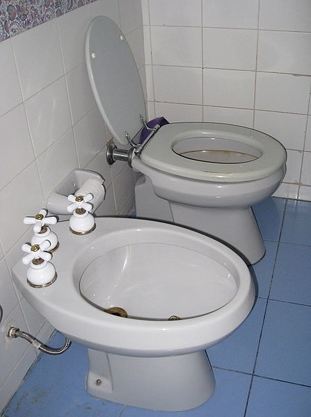 A modern bidet in combination with a flush toilet