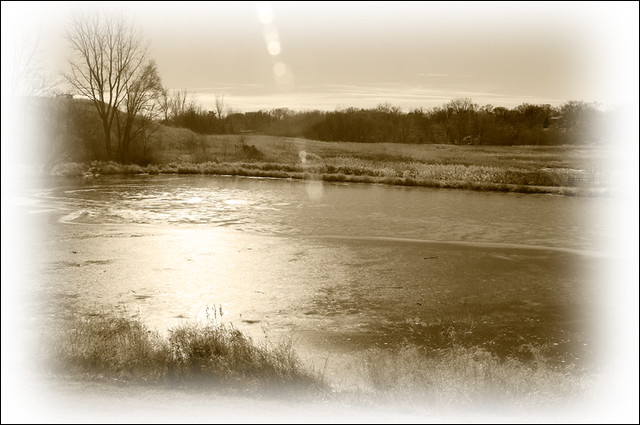 20120105_winter_pond