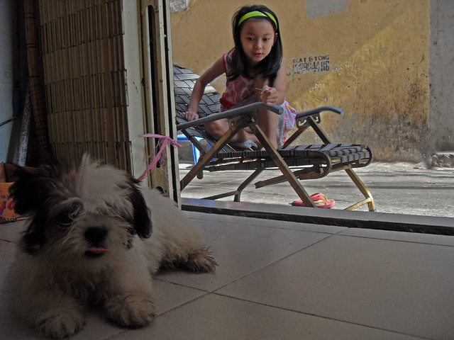 Saigon. La fillette et le chien