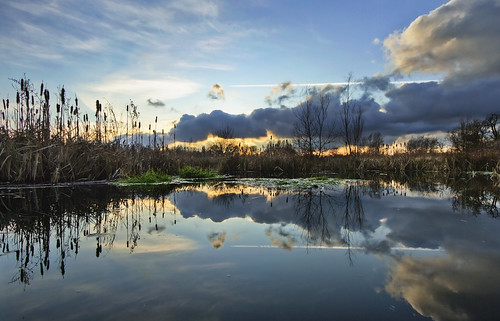 sunset reflection clouds reeds landscape pond day sundown cloudy naturereserve 1022mm westmidlands solihull brueton canon7d