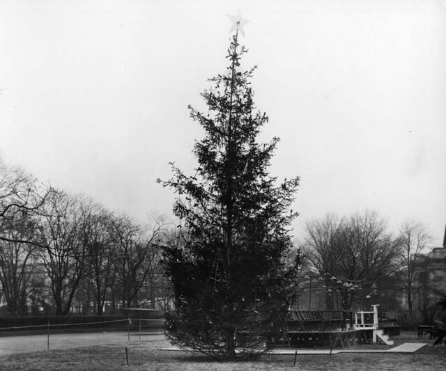 1926 National Community Christmas Tree
