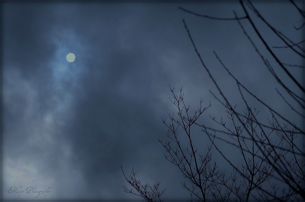 Sunshine on a cloudy day ~♥~ | Silence before the storm ~♥~ | Flickr