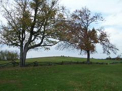 Parson's Ridge - Perryville Battlefield