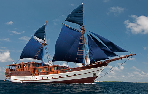 MS/Y AURORA