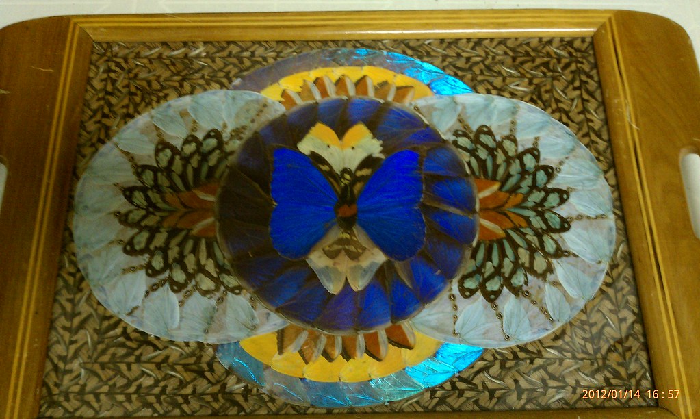 Butterfly Marquetry | Bought for $10 at the Expo Idaho Flea … | Flickr