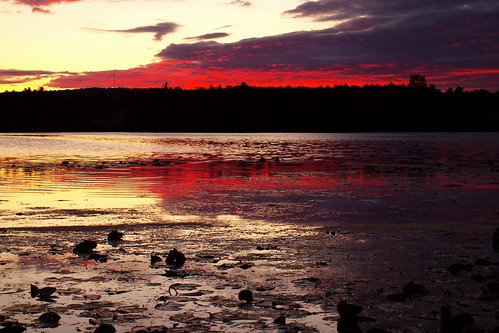 trees sunset lake clouds trenton crimsonsky reflectionslillypads
