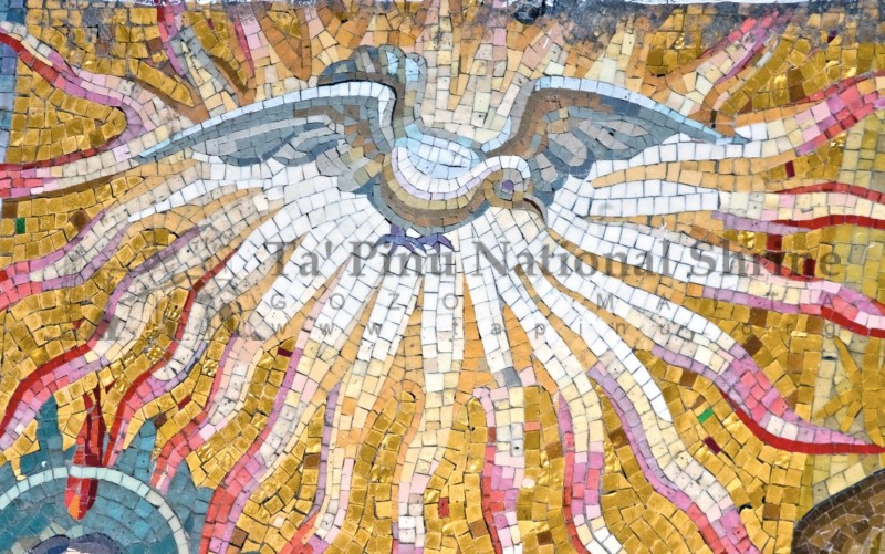TPNS-mosaics00065 - Ta' Pinu mosaics