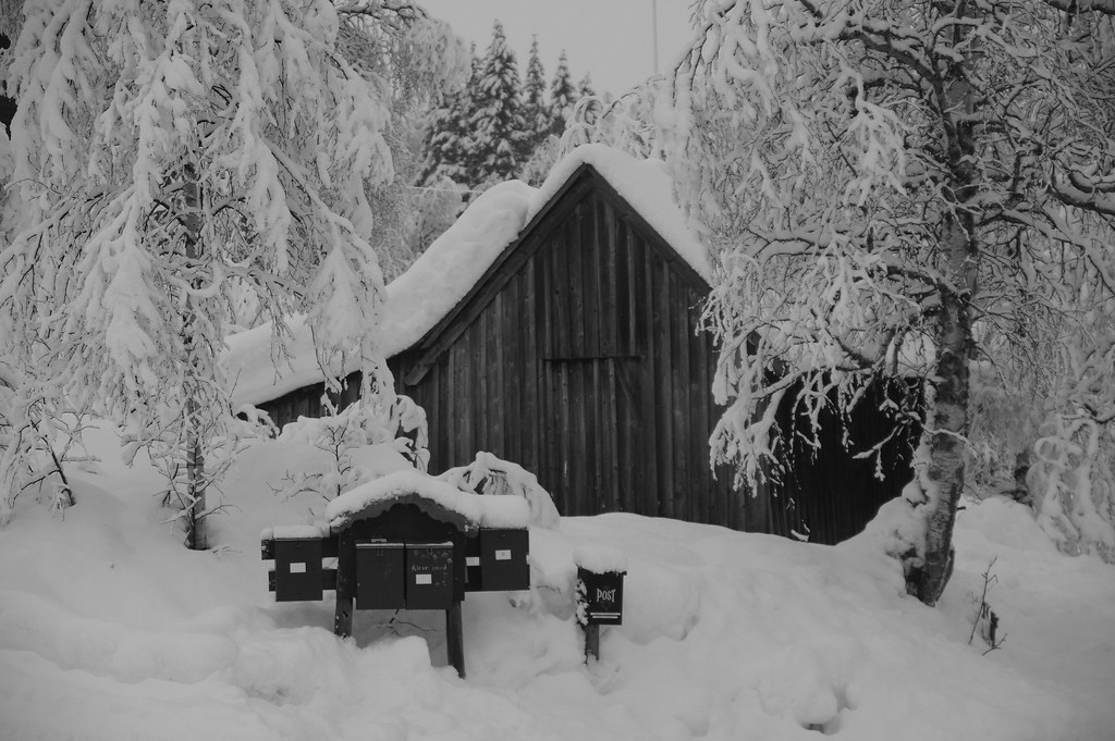 Snow on mailboxes | Threes covered with snow made a post-car… | Flickr