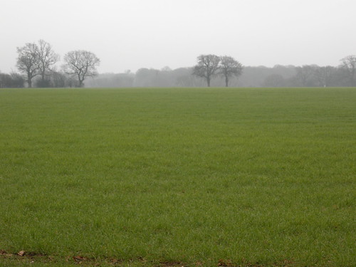 fields 