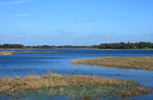 lake florida waterfowl hernando waterscape citruscounty