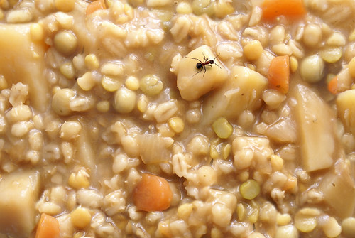 ant and vegetable stew | by Leeber