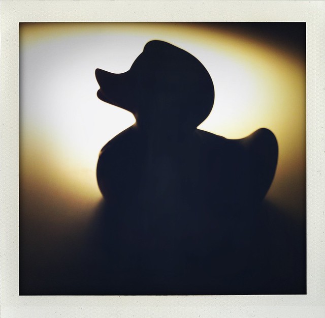 Shadow Duck | 24/365