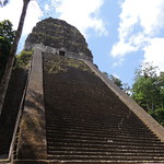 26 Tikal
